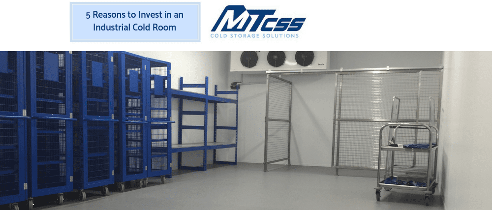 Investing In An Industrial Cold Room | MTCSS